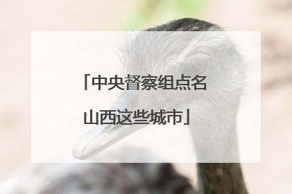 中央督察组点名山西这些城市