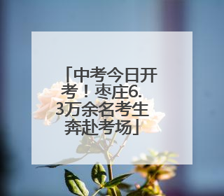 中考今日开考！枣庄6.3万余名考生奔赴考场