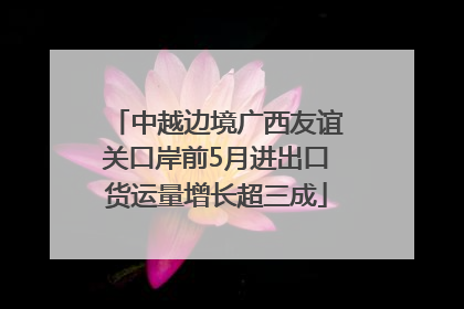 中越边境广西友谊关口岸前5月进出口货运量增长超三成