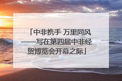 中非携手 万里同风——写在第四届中非经贸博览会开幕之际