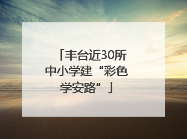 丰台近30所中小学建“彩色学安路”