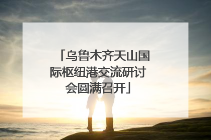 乌鲁木齐天山国际枢纽港交流研讨会圆满召开
