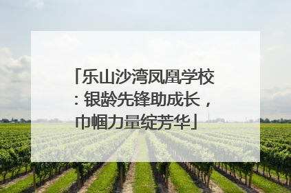 乐山沙湾凤凰学校：银龄先锋助成长，巾帼力量绽芳华
