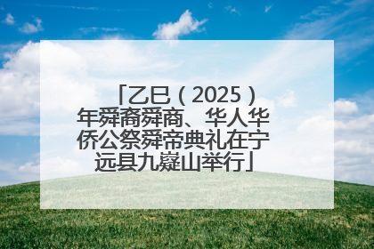 乙巳（2025）年舜裔舜商、华人华侨公祭舜帝典礼在宁远县九嶷山举行