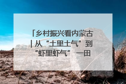 乡村振兴看内蒙古｜从“土里土气”到“虾里虾气” 一田双收模式火出圈
