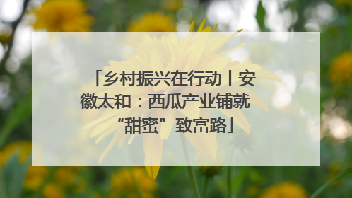 乡村振兴在行动丨安徽太和：西瓜产业铺就“甜蜜”致富路