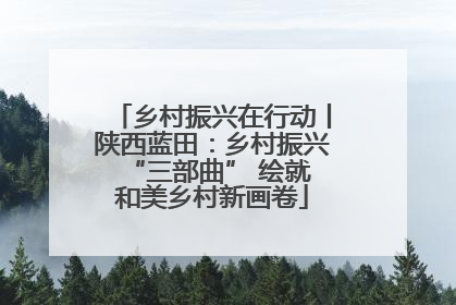 乡村振兴在行动丨陕西蓝田：乡村振兴 “三部曲” 绘就和美乡村新画卷
