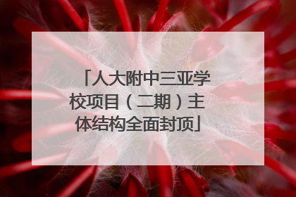 人大附中三亚学校项目（二期）主体结构全面封顶
