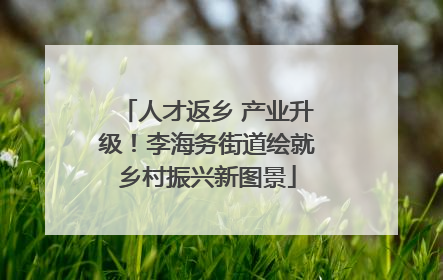 人才返乡 产业升级！李海务街道绘就乡村振兴新图景