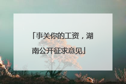事关你的工资，湖南公开征求意见