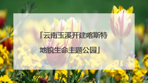 云南玉溪开建喀斯特地貌生命主题公园