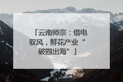 云南师宗：借电驭风，鲜花产业“破圈出海”