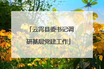 云霄县委书记调研基层党建工作