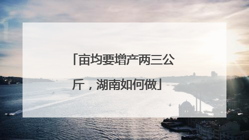 亩均要增产两三公斤，湖南如何做