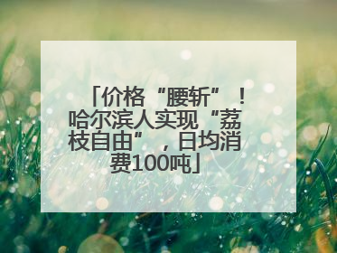 价格“腰斩”！哈尔滨人实现“荔枝自由”，日均消费100吨