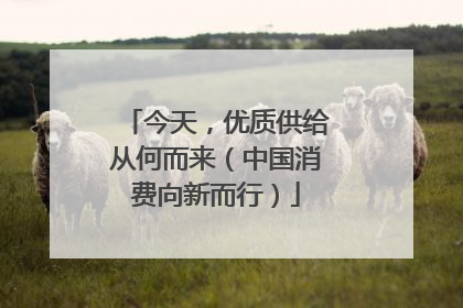 今天，优质供给从何而来（中国消费向新而行）