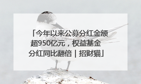 今年以来公募分红金额超950亿元，权益基金分红同比翻倍｜招财猫