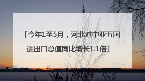 今年1至5月，河北对中亚五国进出口总值同比增长1.1倍