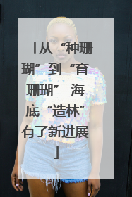 从“种珊瑚”到“育珊瑚” 海底“造林”有了新进展