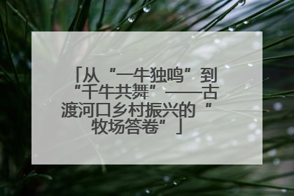 从“一牛独鸣”到“千牛共舞”——古渡河口乡村振兴的“牧场答卷”
