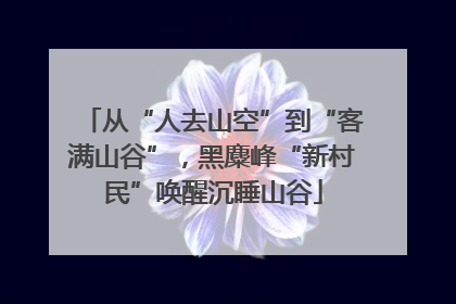 从“人去山空”到“客满山谷”，黑麋峰“新村民”唤醒沉睡山谷
