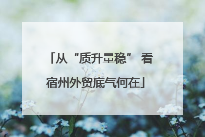 从“质升量稳” 看宿州外贸底气何在