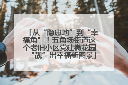 从“隐患地”到“幸福角”！五角场街道这个老旧小区党建微花园“靓”出幸福新图景