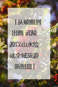 从破圈到出圈 武陵源以山水绘就全域旅游新图景