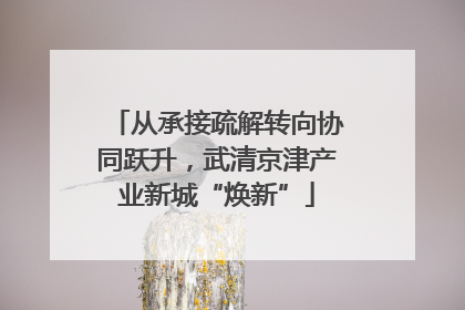 从承接疏解转向协同跃升，武清京津产业新城“焕新”