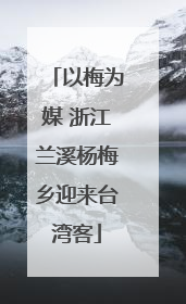 以梅为媒 浙江兰溪杨梅乡迎来台湾客