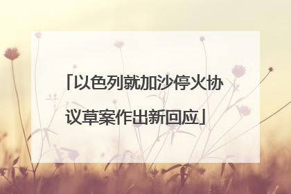 以色列就加沙停火协议草案作出新回应