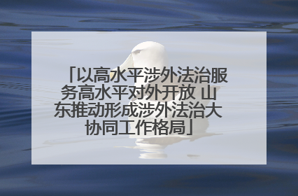 以高水平涉外法治服务高水平对外开放 山东推动形成涉外法治大协同工作格局