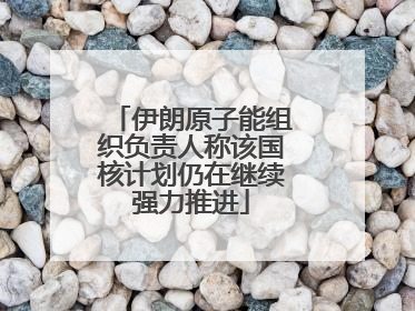 伊朗原子能组织负责人称该国核计划仍在继续强力推进