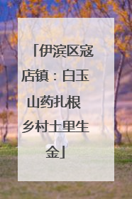 伊滨区寇店镇：白玉山药扎根 乡村土里生金