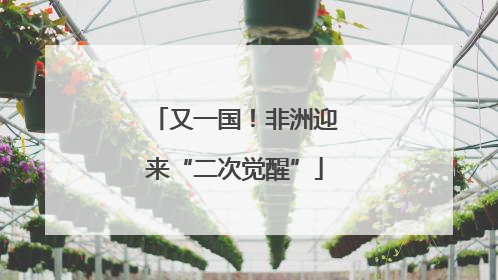 又一国！非洲迎来“二次觉醒”