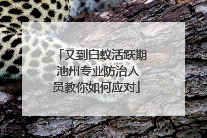 又到白蚁活跃期 池州专业防治人员教你如何应对