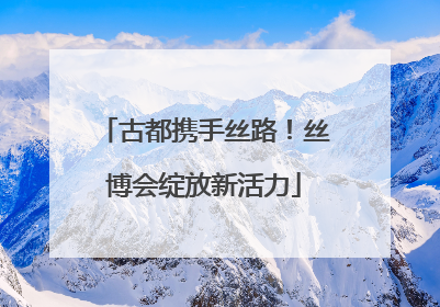 古都携手丝路！丝博会绽放新活力