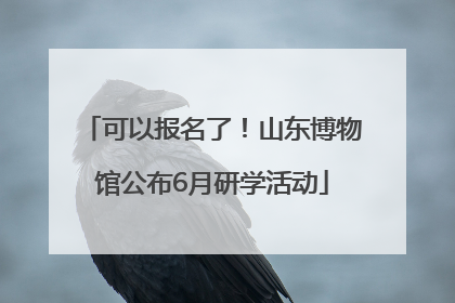 可以报名了！山东博物馆公布6月研学活动