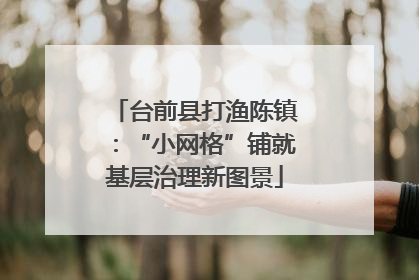 台前县打渔陈镇：“小网格”铺就基层治理新图景