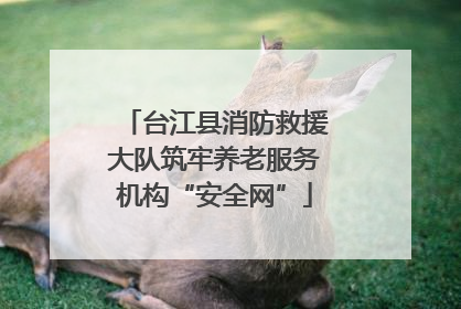 台江县消防救援大队筑牢养老服务机构“安全网”