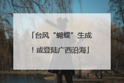 台风“蝴蝶”生成！或登陆广西沿海