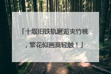 十堰旧铁轨邂逅夹竹桃，繁花似画莫轻触！