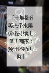 十堰榴莲等热带水果价格持续走低！商家：预计还能再降