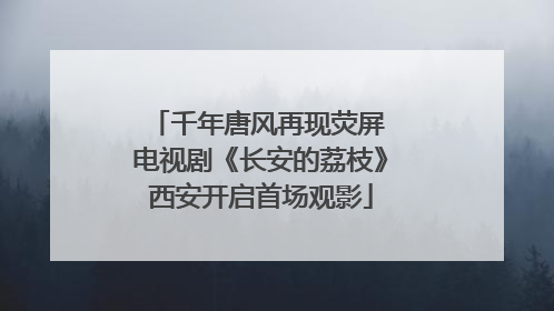 千年唐风再现荧屏 电视剧《长安的荔枝》西安开启首场观影