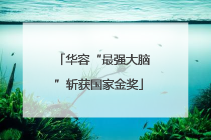 华容“最强大脑”斩获国家金奖