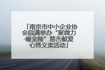 南京市中小企业协会圆满举办“聚微力·暖金陵”慈善献爱心暨义卖活动