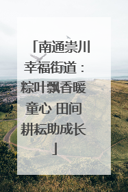 南通崇川幸福街道：粽叶飘香暖童心 田间耕耘助成长