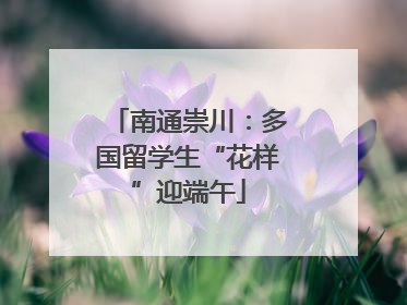 南通崇川：多国留学生“花样”迎端午
