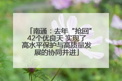 南通：去年“抢回”42个优良天 实现了高水平保护与高质量发展的协同并进