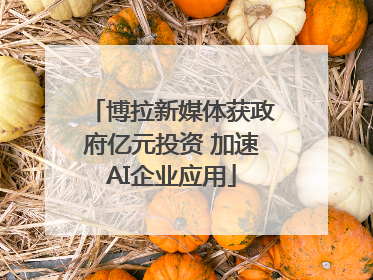 博拉新媒体获政府亿元投资 加速AI企业应用